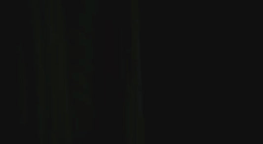 NUEDES OFFICIAL CAMPAIGN